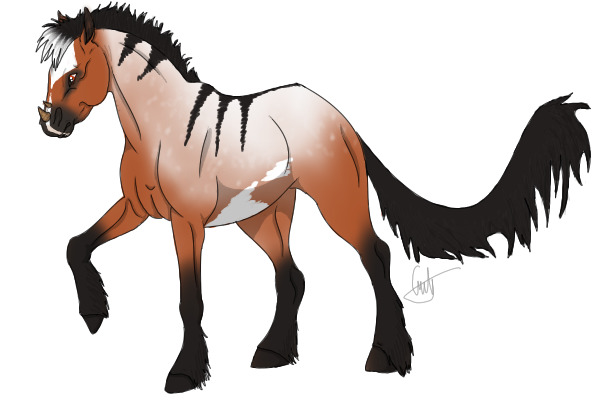 Ventrilio: Bay/Red Roan/Pinto color