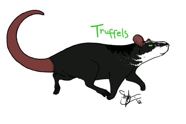 Truffels