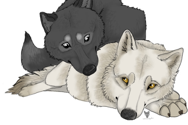 Wolves <3