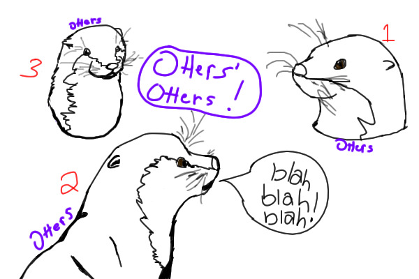 Otters' Otters