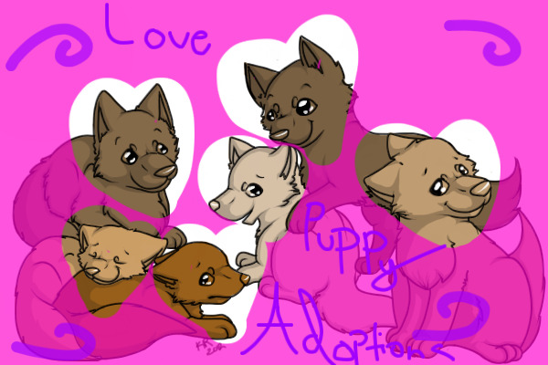 {.love.puppy.adoptions.}~{.open.}