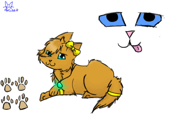 Cat for contest!