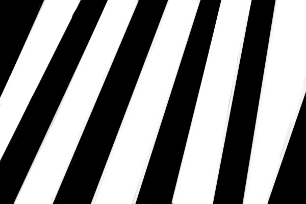 Black With White Stripes or White With Black Stripes