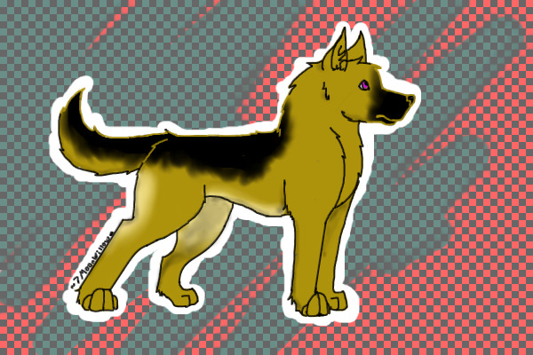 German Shepard Pup!