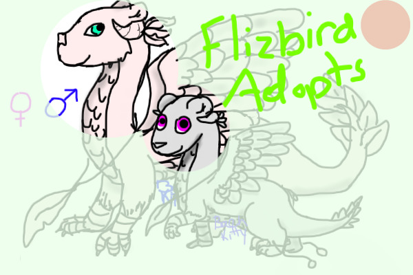 Flizbird Adopts