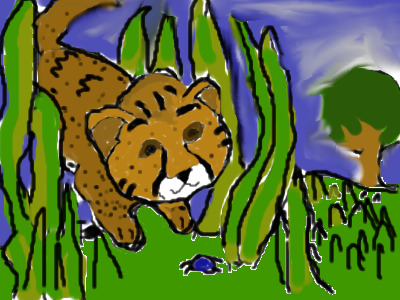 Cheetah Cub in the Grass