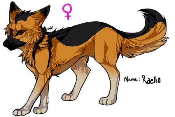 Raella GSD ref sheet