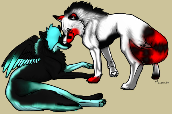 ryoga & cina