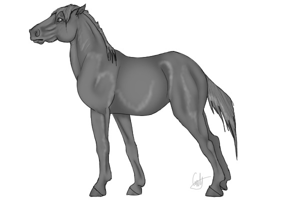 Horse/Pony editable