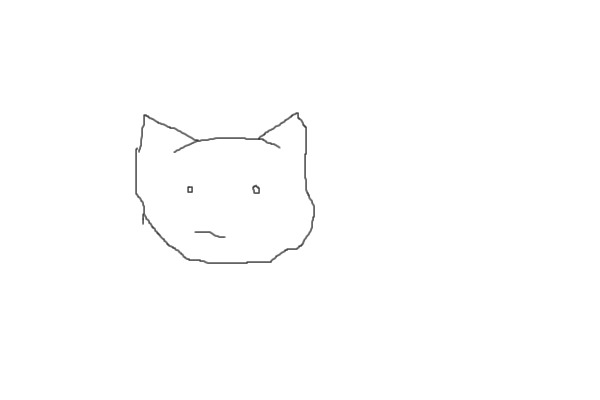Kitty head