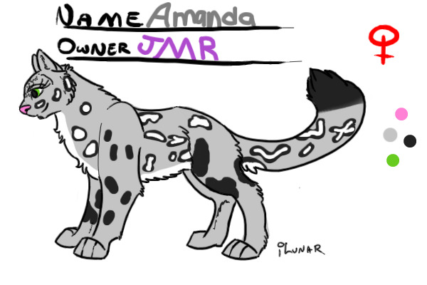 Amanda (Snow Leopard)