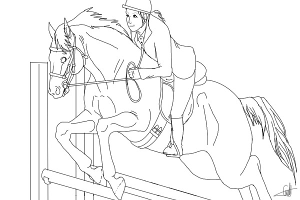 Bayside Equestrian Stables Open Jumping Comp.