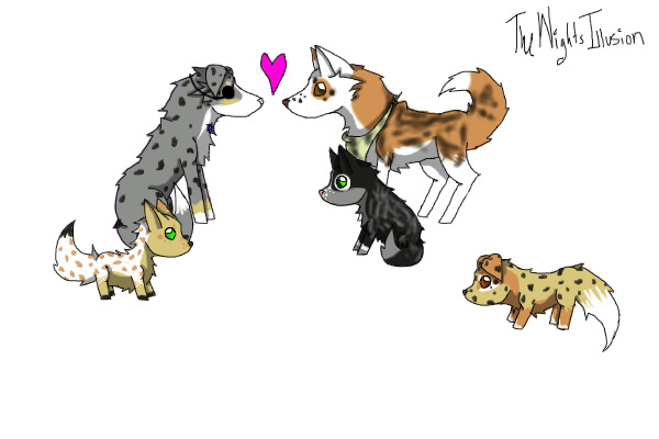 Breeding for wesleydog