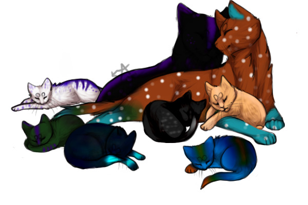 orical and tidals pups