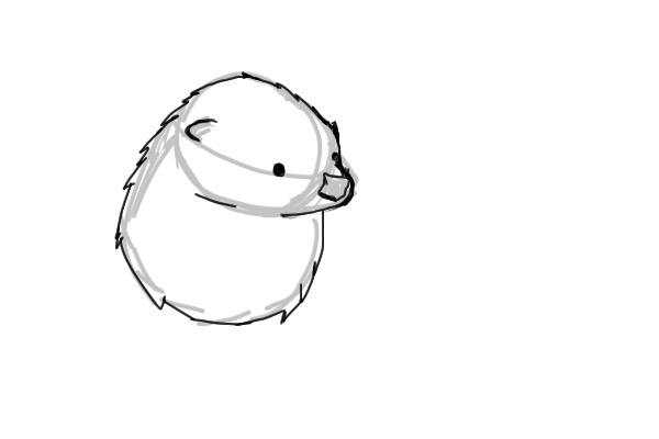 Otter Headshot Sketch