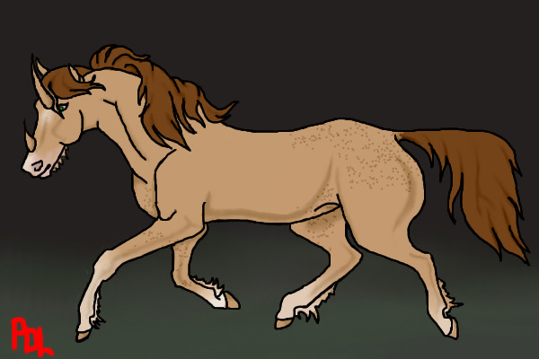 Eindra Horse~ For Adoption