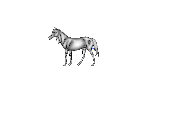 horse