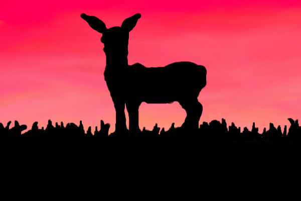 Silhouette Practice