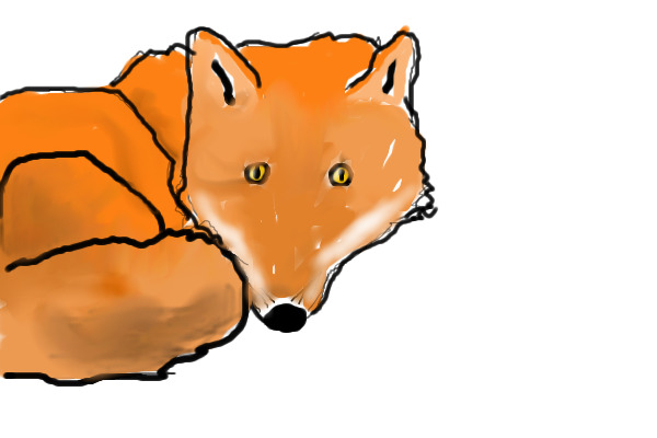 my fox