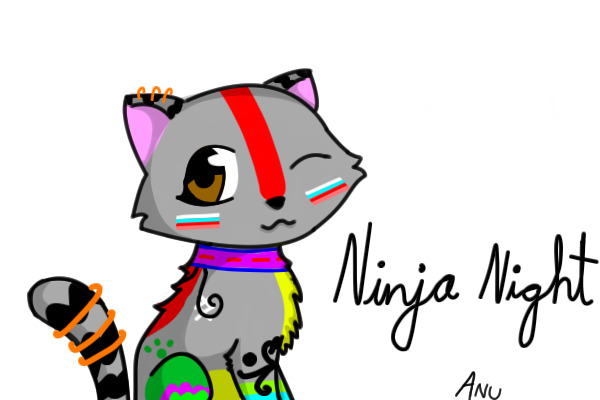 Ninja Night for NinjaNight441
