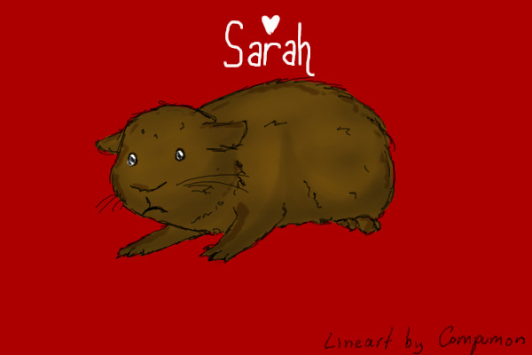 Sarah :( <3