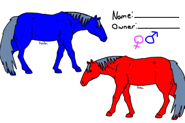 Horse ref sheet and editable