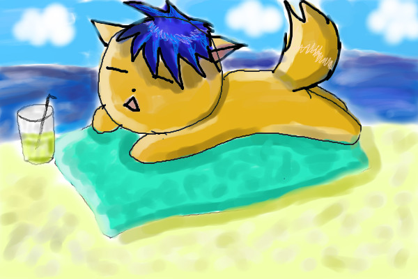 Fox at beach