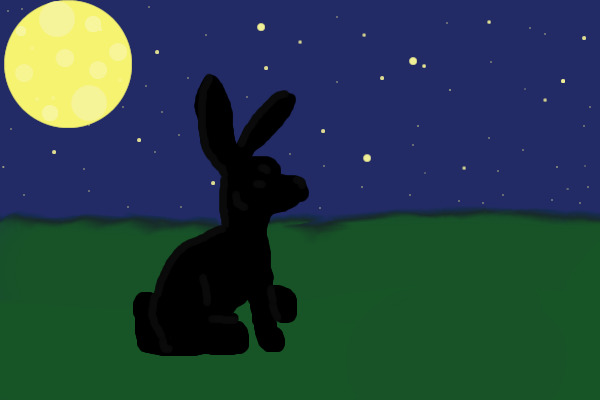 Rabbit At Midnight