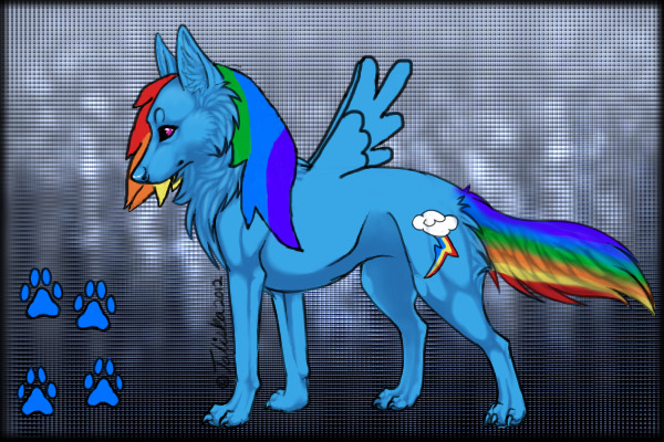 Rainbow Dash Dog