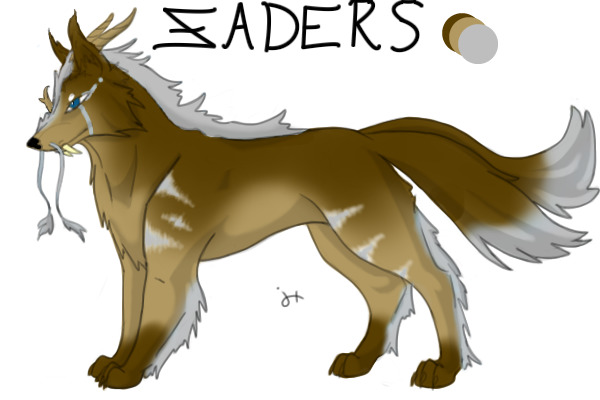 Zader Up for adoption
