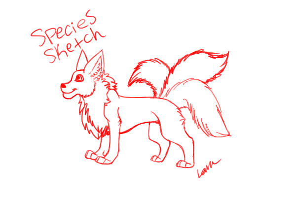 Species sketch