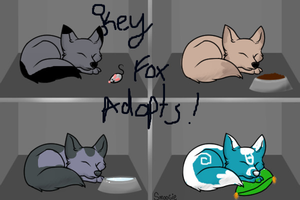Key Fox Adopts!