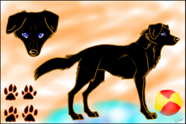 BLACK LAB!!!