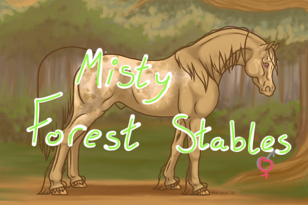 Misty Forest Stables!