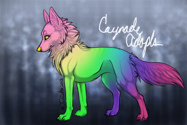 Caynade Adopts