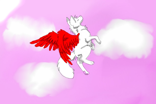 i can fly : D