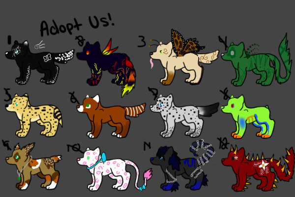 Wolf Adopts - All adopted