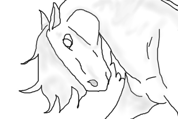horse lineart