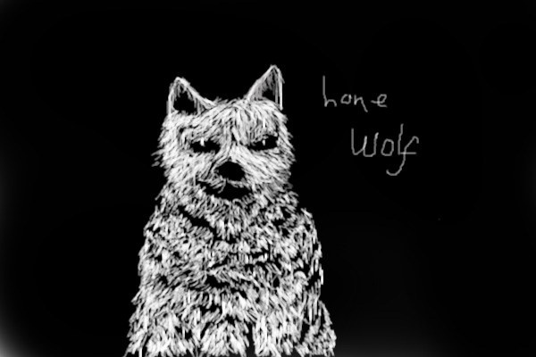 Lone wolf - Ghost
