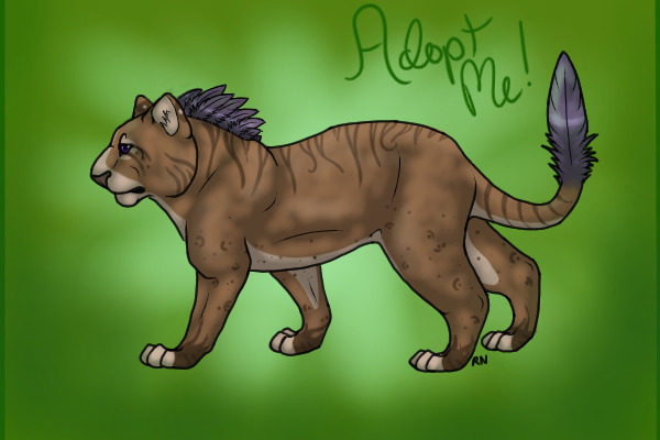 Rowki #3--Available for Adoption!