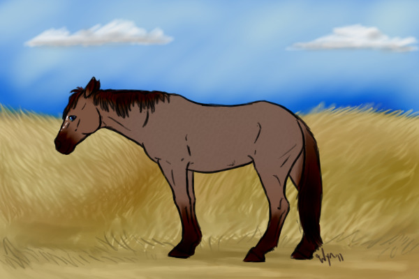 just a red roan