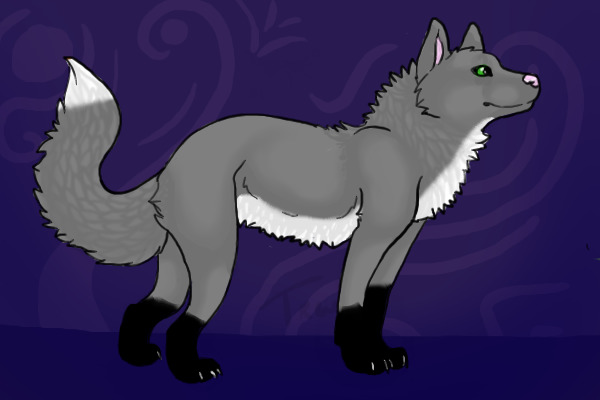 A wolf for my rp-Ava