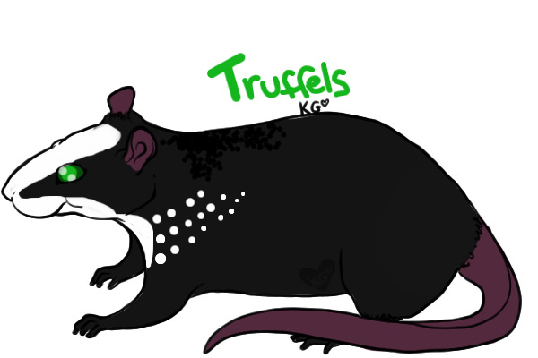 Truffels