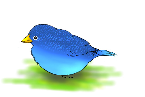 Little blue bird