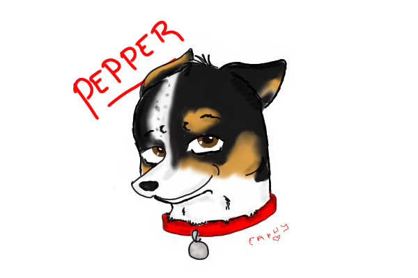 Aki- Pepper