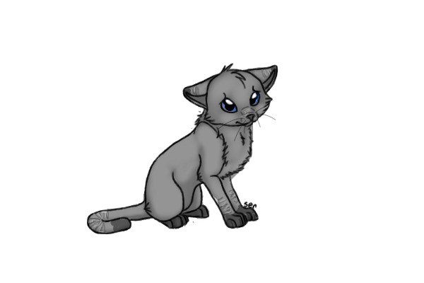 grey lynx point