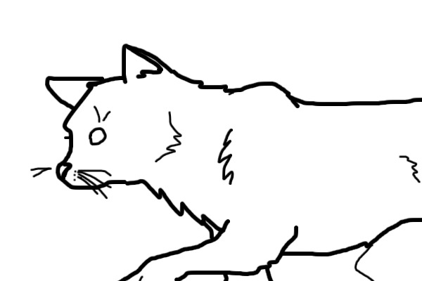 Stalking Cat