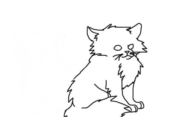Himalayan Kitten