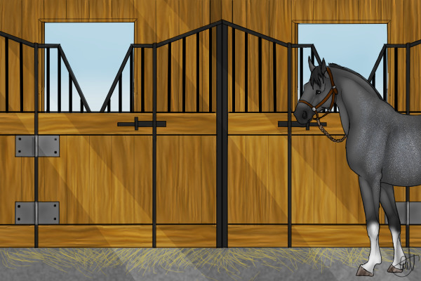 Bayside's stables
