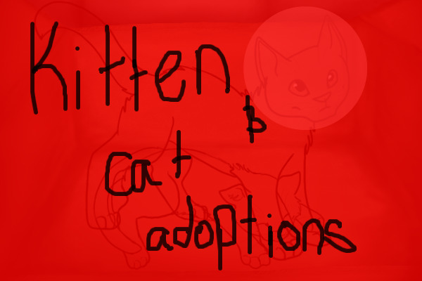 Kitten & Cat adoptions